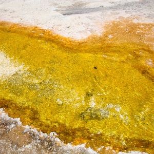 Meet Your Posher, Beverly!